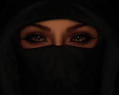 Arabian Night_008k