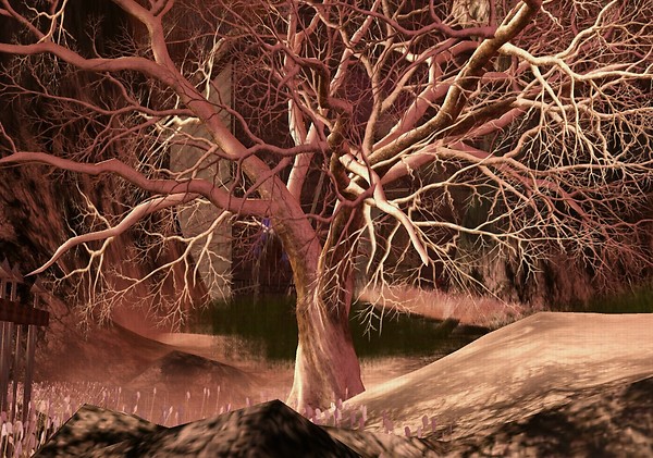 Branching out