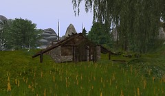 viking Life