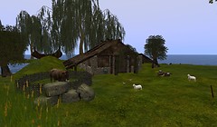 viking life
