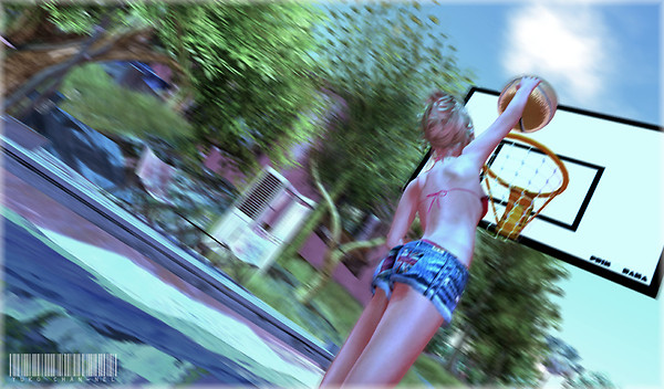 snapshot