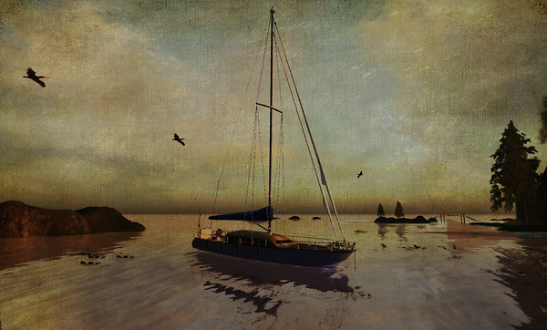 in the Cove