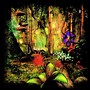 Magical Forest