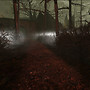 sleliza2315_001