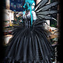 110206-Coppelia---Night-Orchid_007