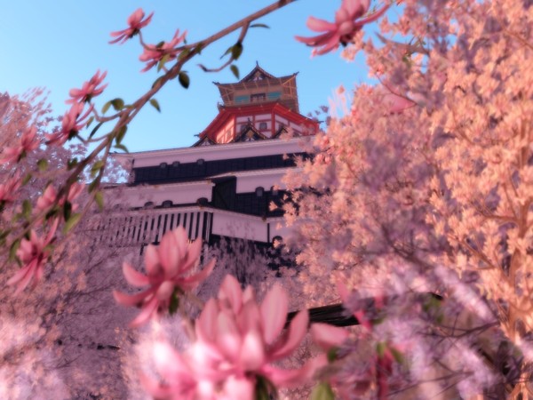 Azuchi3