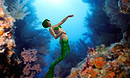 With the Fishes