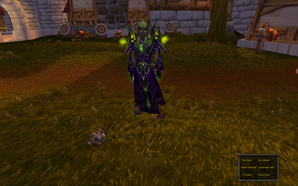 WoWScreenShot