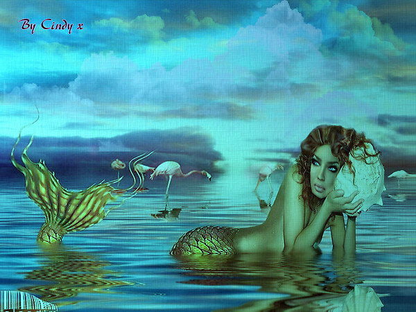 The Mermaid 1