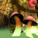 Toymaker's mushies