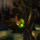 Toymaker's flower