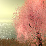 Blooming