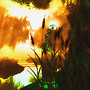Delta_033d