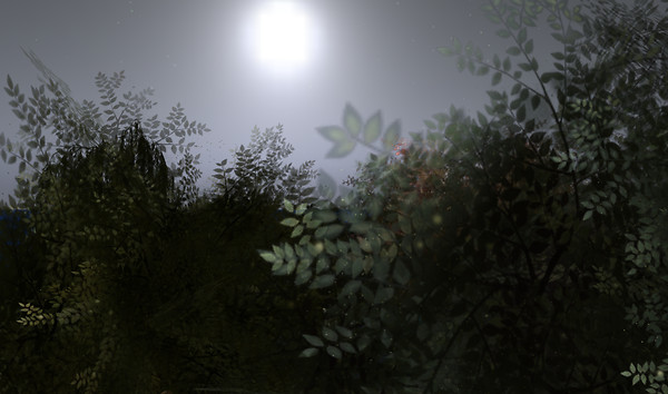 Twilight in the Treetops2_001