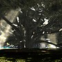 The Big Fig