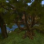 Dellhallow_005