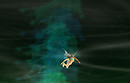 Fairy flight