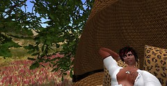 Snapshot_008
