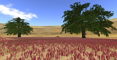 Snapshot_005