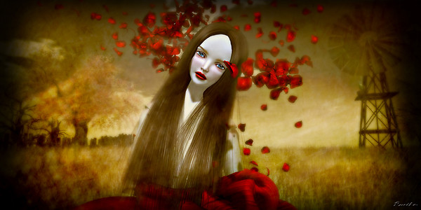 Rose Petals