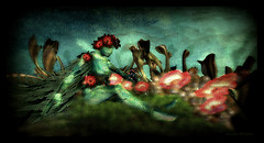 flora