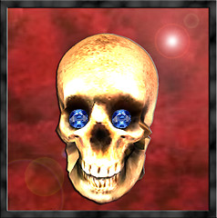 Skull