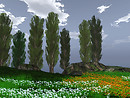 overTREEted
