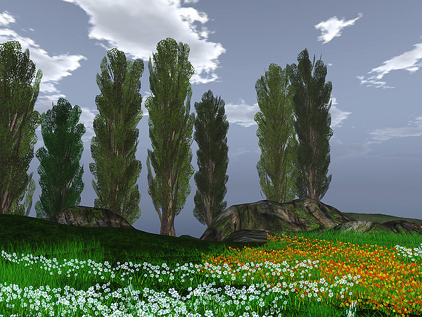 overTREEted