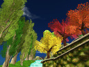 overTREEted