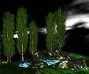 overTREEted