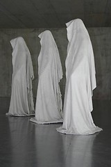 white_guard kielnhofer