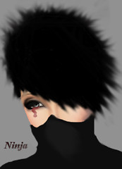 ninja
