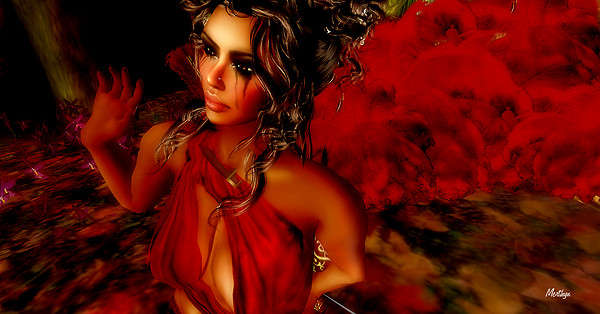 Snapshot_016