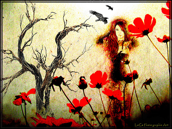 Raven~LC