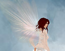 Angelis