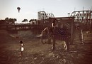 An Evening at the Amusement Park 02