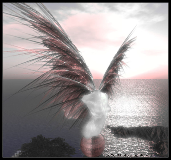 She Flies by Her Own Wings ~LC