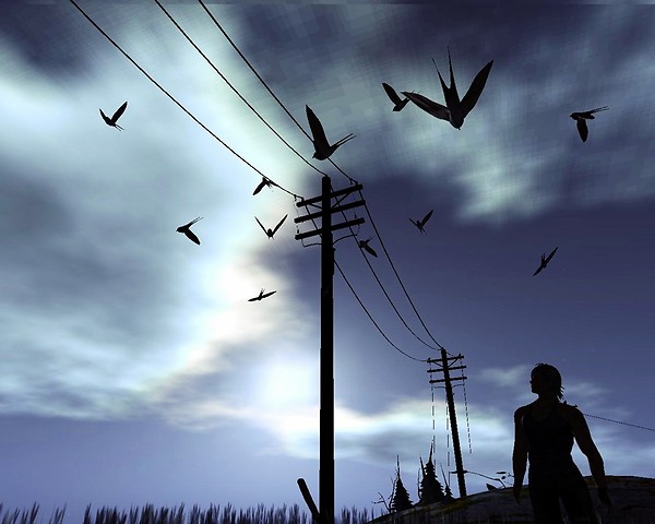 sky
