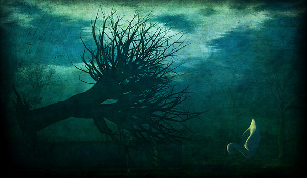 Dark Waltz 