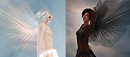 Angel or Deva?