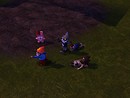 Gnomes meeting