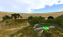 Noweeta Grassland6