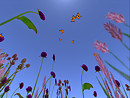 Noweeta Grassland4