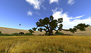 Noweeta Grassland1
