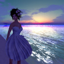 Summer Breeze