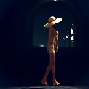 FATEisland