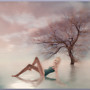 Zen in water