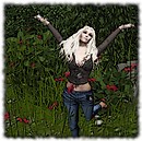 poppies!!