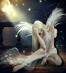 Fallen