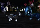 LIVE Nocturnal Meeroos - oriyn.destiny